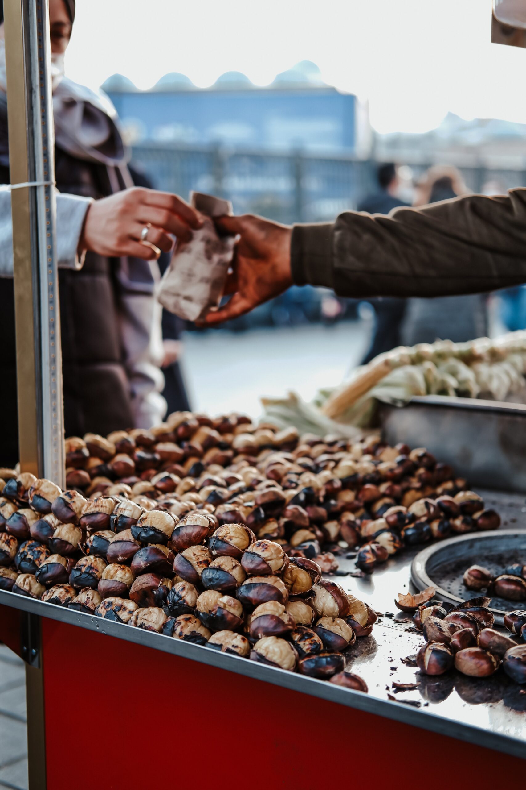 Bartering and Trading: Ancient Practices for Modern Travelers