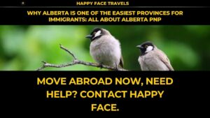Why Alberta Is One of the Easiest Provinces for Immigrants: All About Alberta PNP