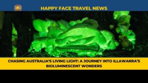 Chasing Australia’s Living Light: A Journey into Illawarra’s Bioluminescent Wonders